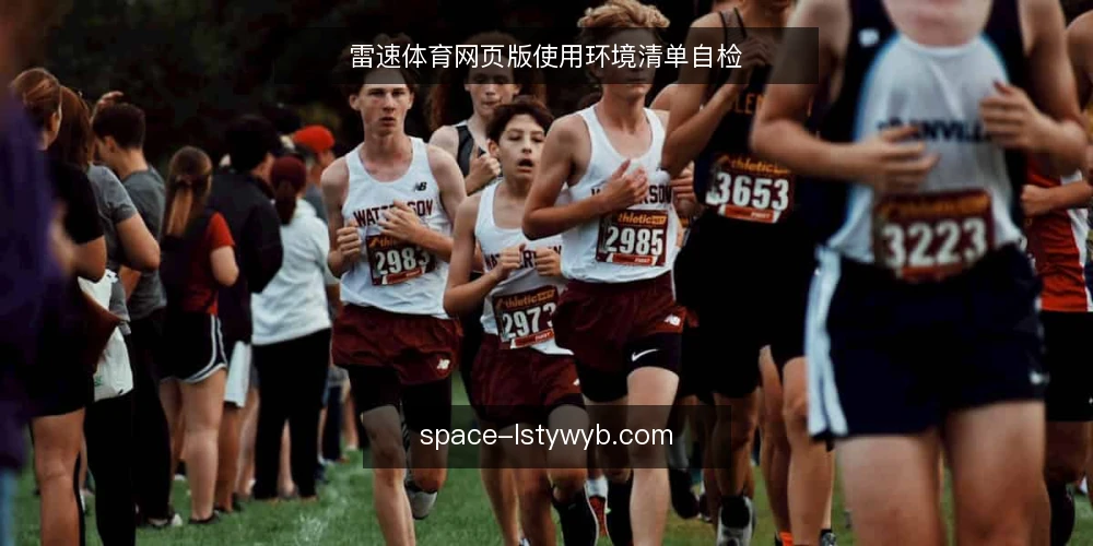 雷速体育网页版使用环境清单自检 — 为何现在需要自检 配图