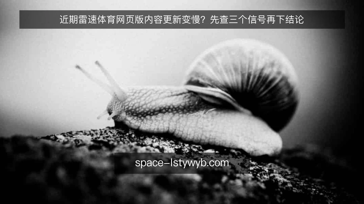 近期雷速体育网页版内容更新变慢？先查三个信号再下结论